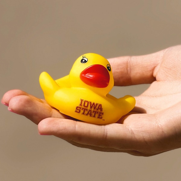 Iowa State Rubber Ducky